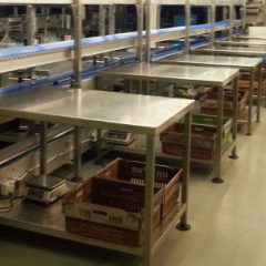 stainless steel tables packing line
