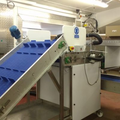 modular conveyor with flights
