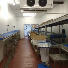 meat processing conveyors