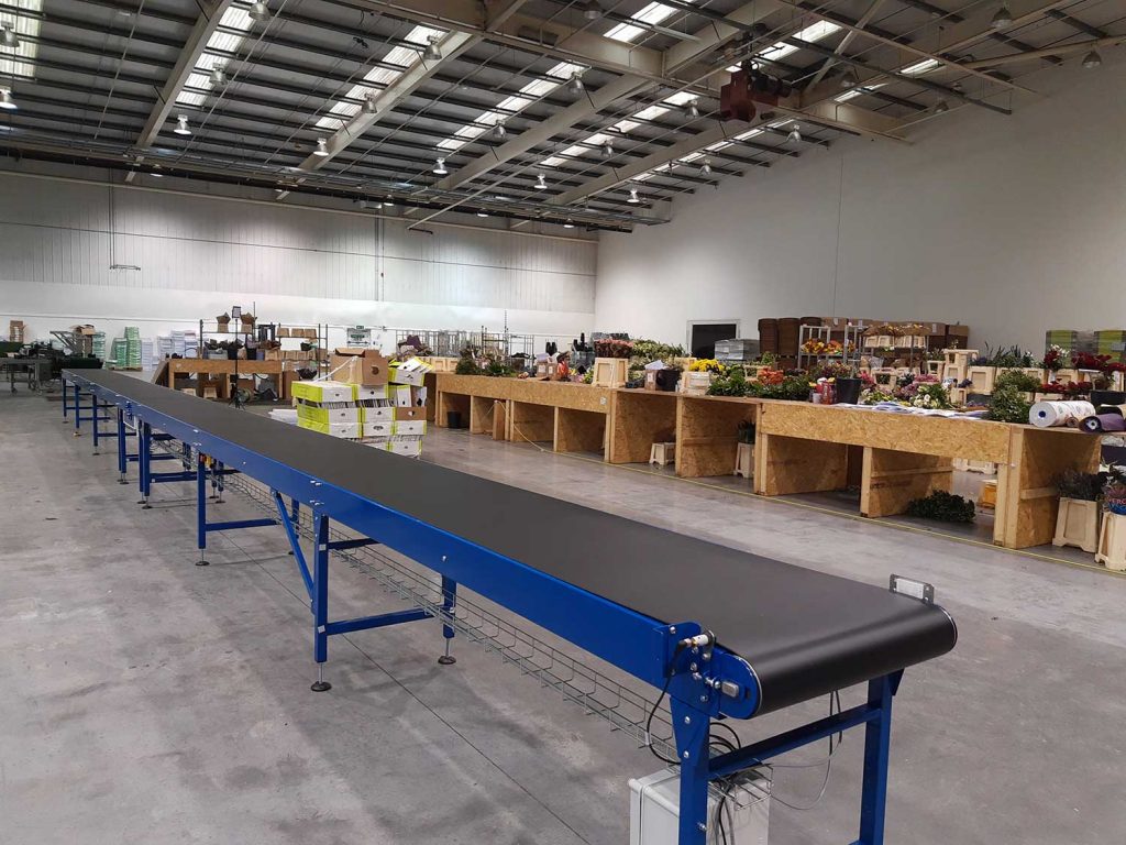packing conveyor belt
