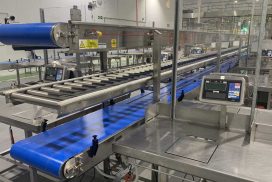Soft Fruit Conveyor System – Case Study