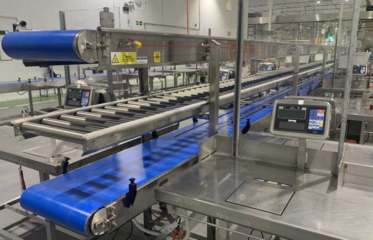 Soft Fruit Conveyor System Case Study