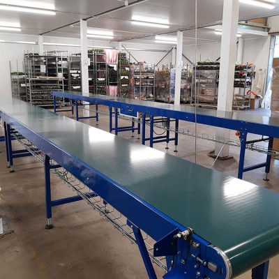 Conveyors for market-leading house plant supplier