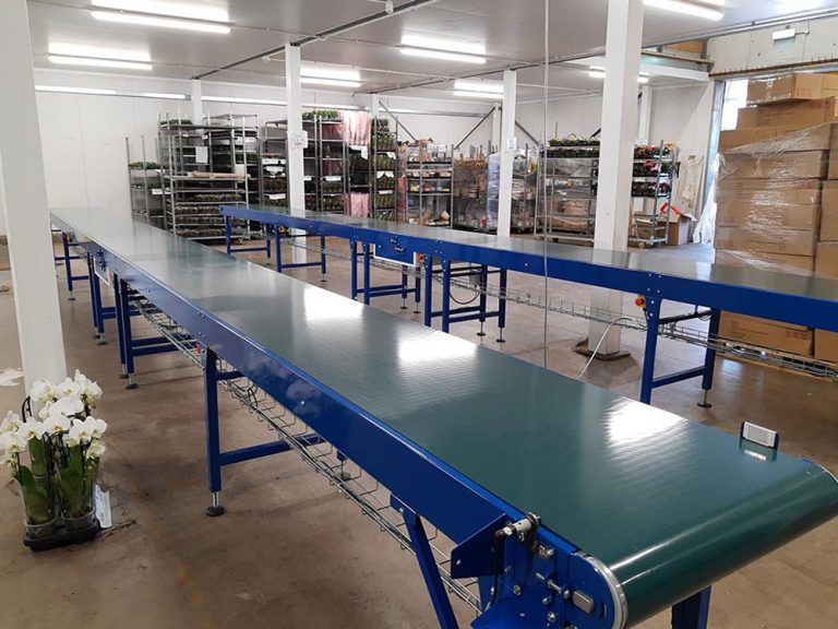 Conveyors for market-leading house plant supplier
