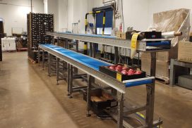 Gravity Roller Conveyors for Fruit & Veg Packing