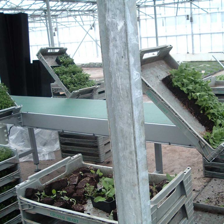 bespoke-greenhouse-conveyor-768x768