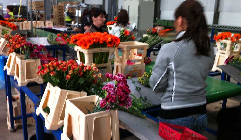 flowerpacking
