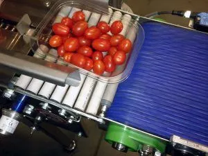 food-conveyor-300x225