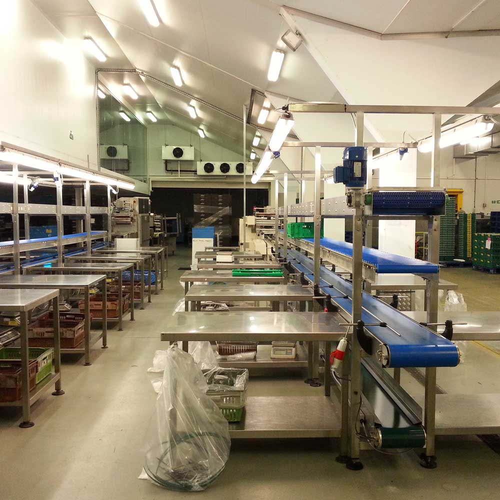 food-packing-conveyor-lines