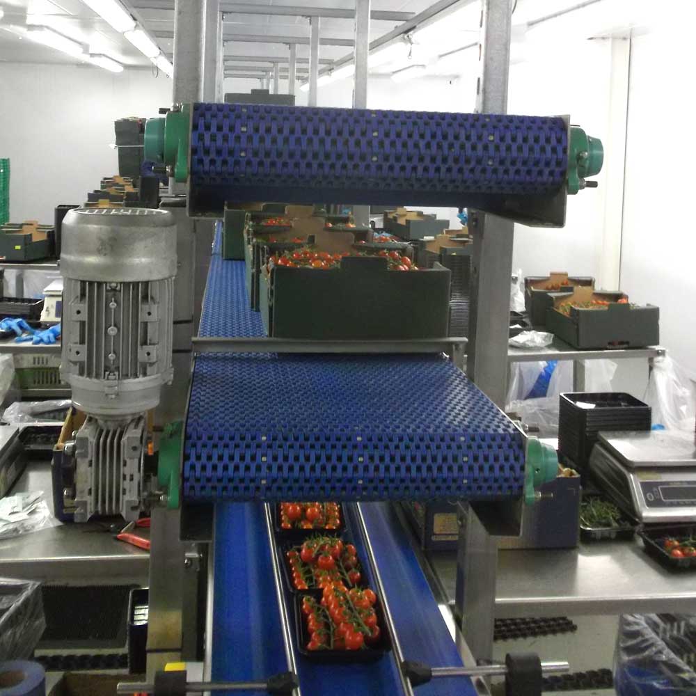 modular-conveyor-food-packing